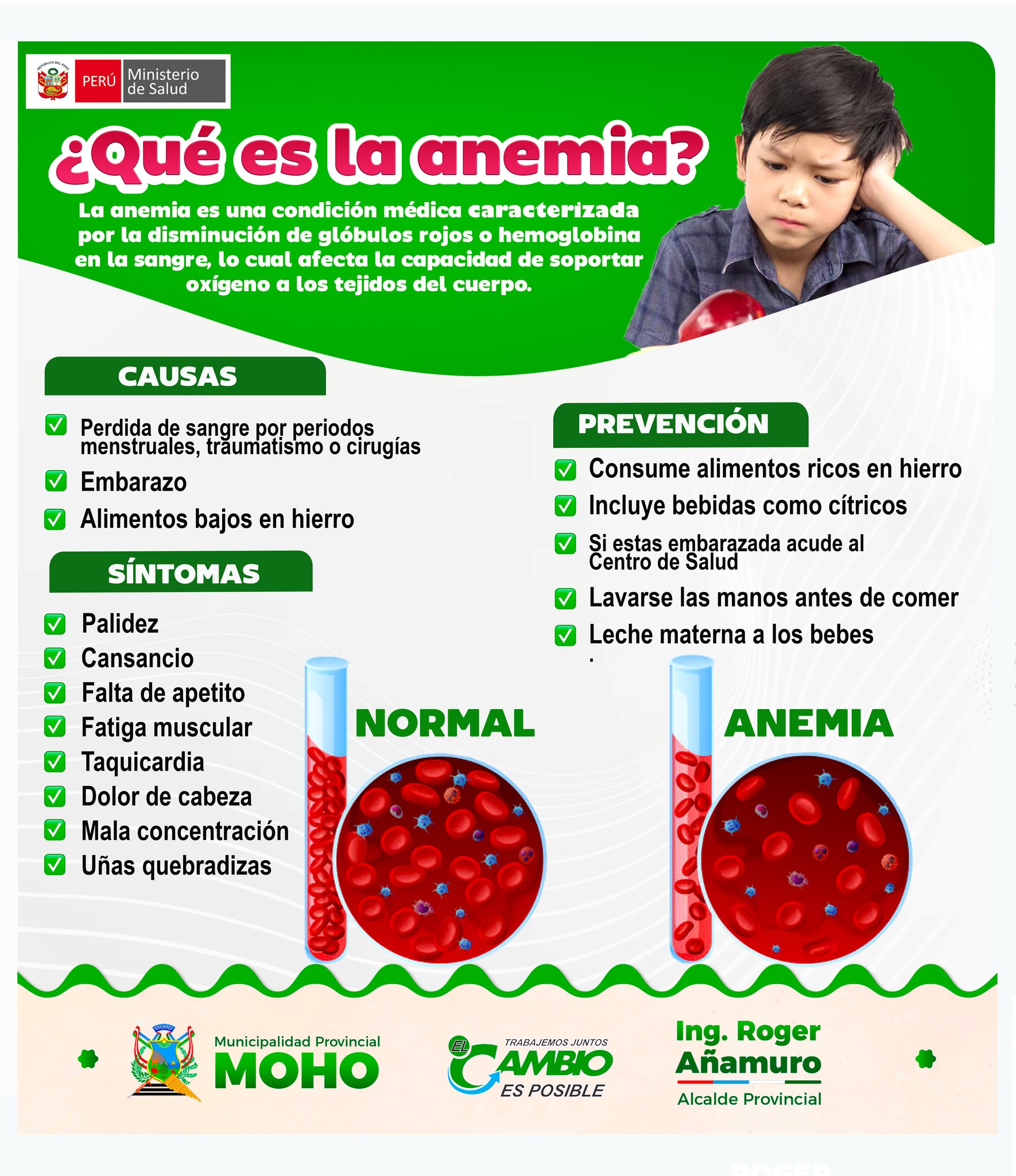 HIERRO Y VITAMINAS PARA UN FUTURO SIN ANEMIA - Municipalidad Provincial ...